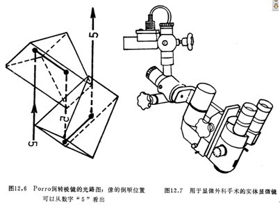 實驗室儀器設備生物香蕉视频黄版下载詳細介紹