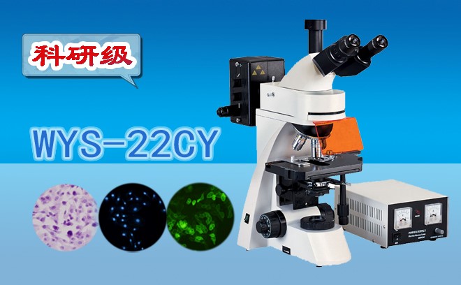 熒光香蕉视频黄版下载常用汞燈作激發光源的種類