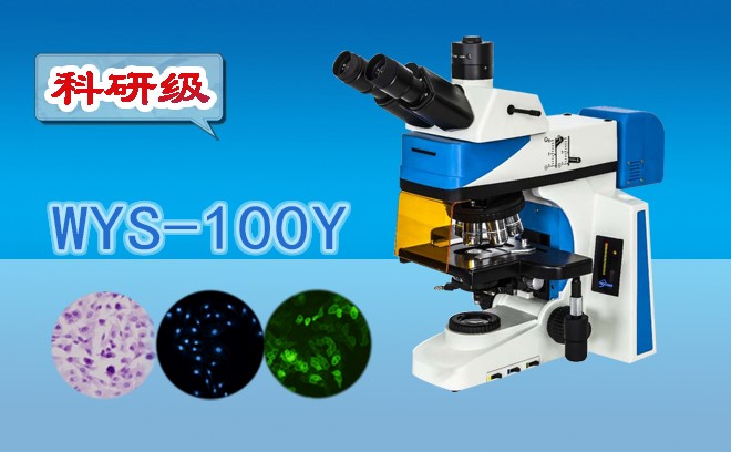 香蕉视频黄版下载在生命科學研究中有哪些應用