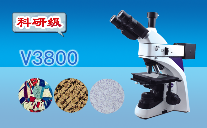 1673490096111705.png 金相香蕉视频黄版下载.png