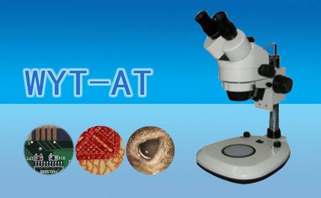 实验室如何选择合适的体视香蕉视频黄版下载